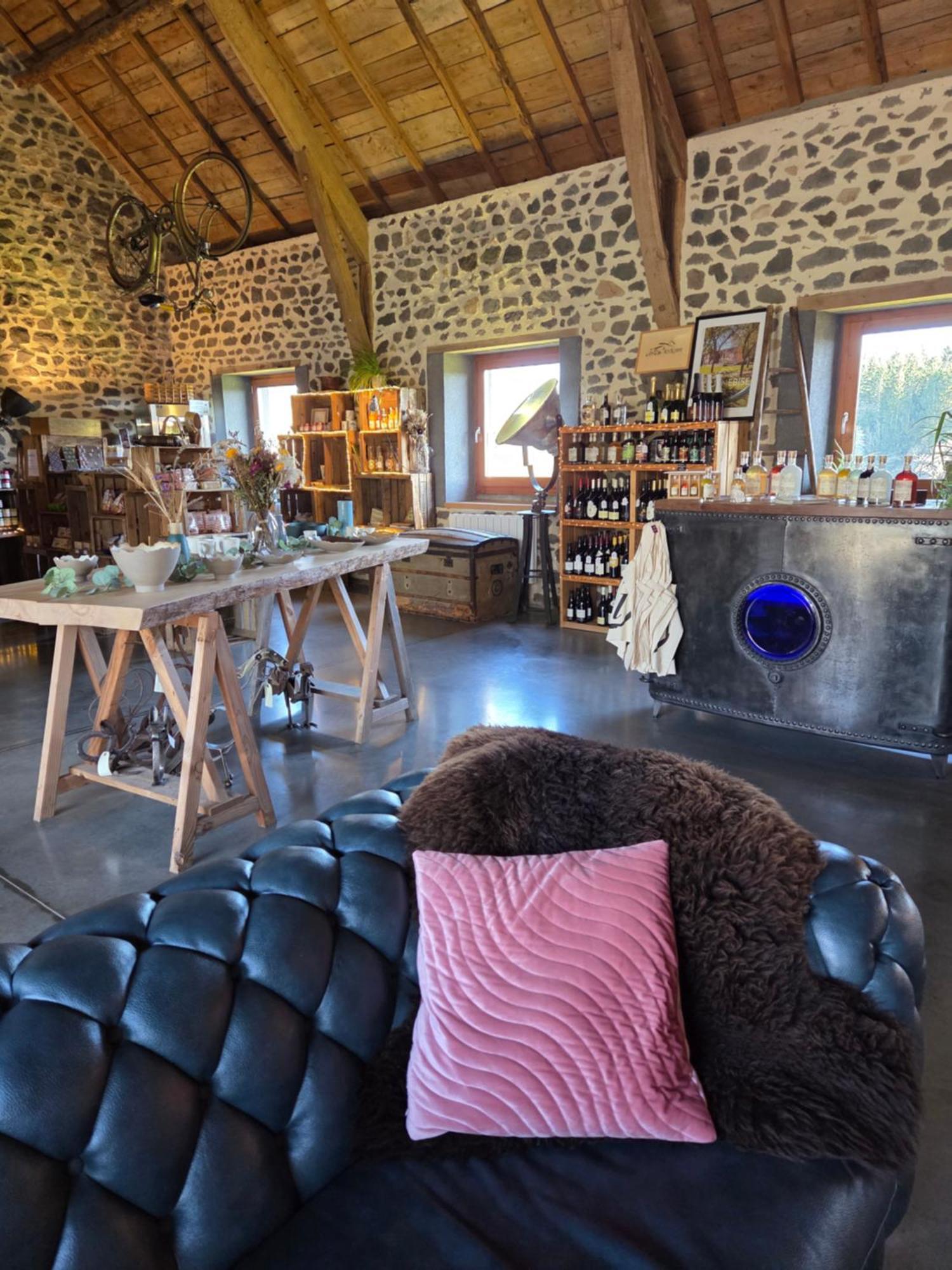 托奈比斯火山小屋酒店 Saint-Pierre-le-Chastel 外观 照片